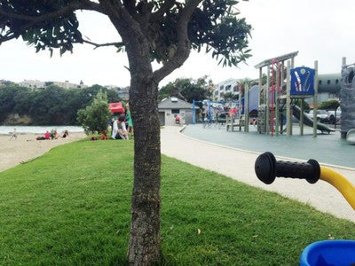 Our Top 10 Auckland Playgrounds