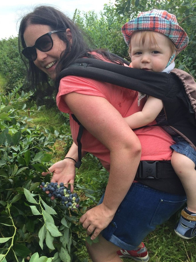 A fun activity for you to do with your toddler: Blueberry picking!