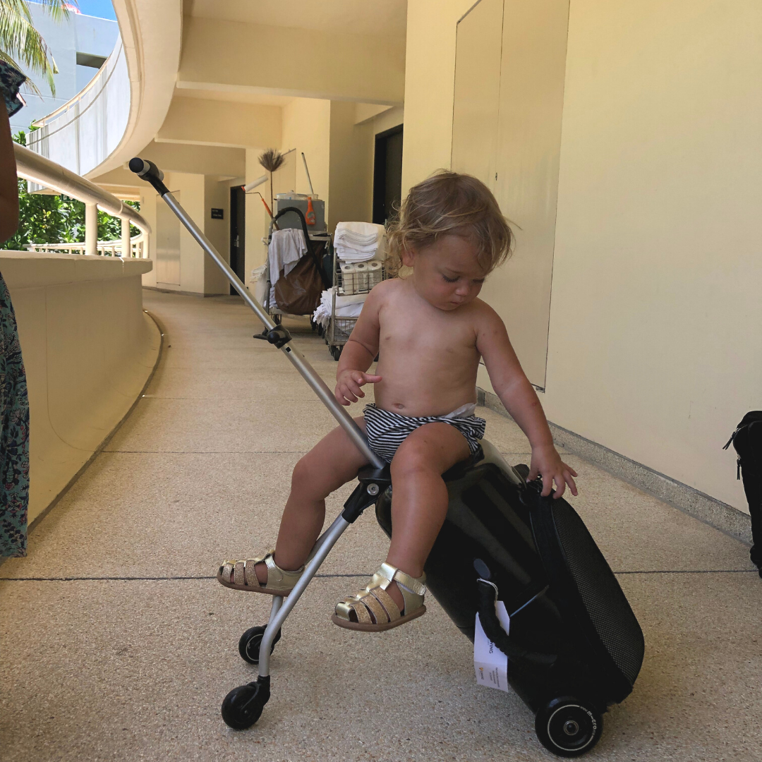 Travel with ease - with Micro Luggage – Micro Scooters NZ